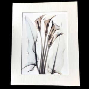 Lilies floral print in white matte